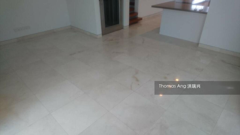 Hoover Park (D21), Terrace #313876431